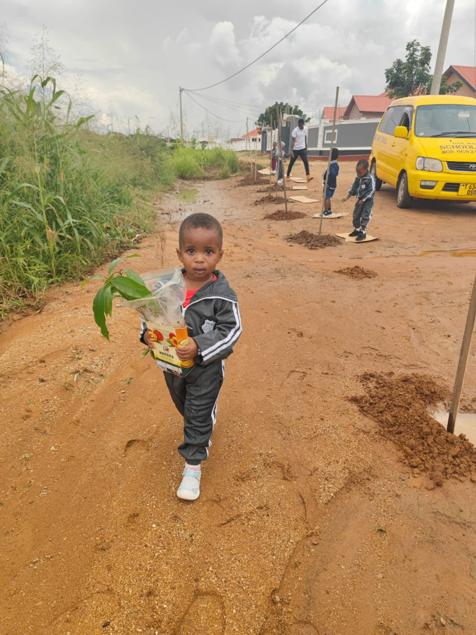 Planting Trees